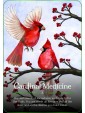 Seasons of the Witch Yule Oracle by Lorriane Anderson & Juliet Diaz
